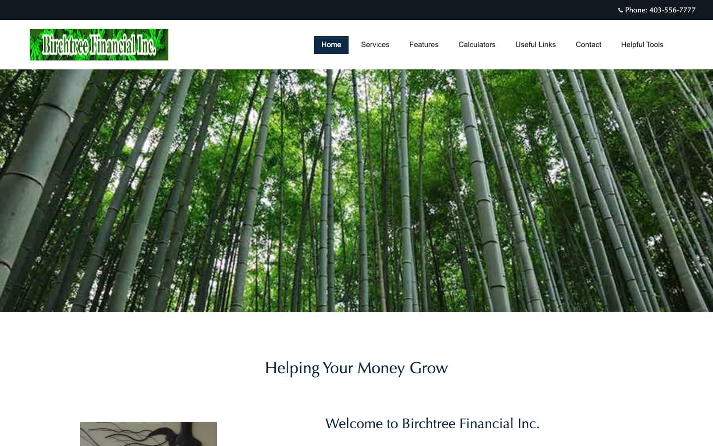 Birchtree Financial's original website — a dated green WordArt logo over a stock bamboo-forest photo.